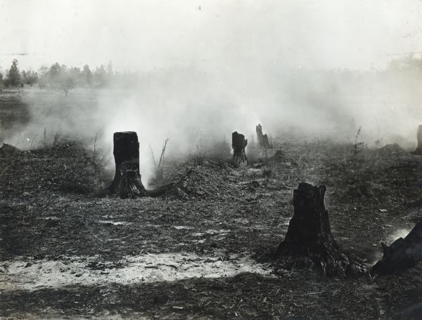 Smoke surrounds several stumps in a field as they are burned to make way for a farm field.