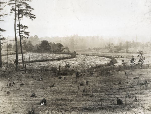 Elevated view of a terraced farm field belonging to M.L. Jackson. Multiple tree stumps are scattered throughout the foreground and farm buildings are in the far background.