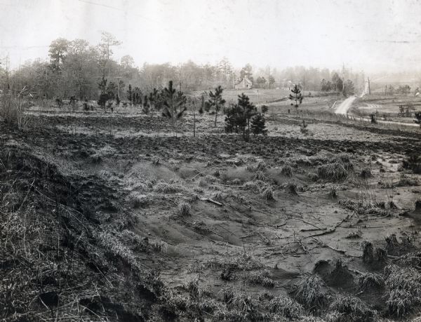 View of an abandoned cotton field along the side of a dirt road. A farmhouse and farm buildings are in the distance.