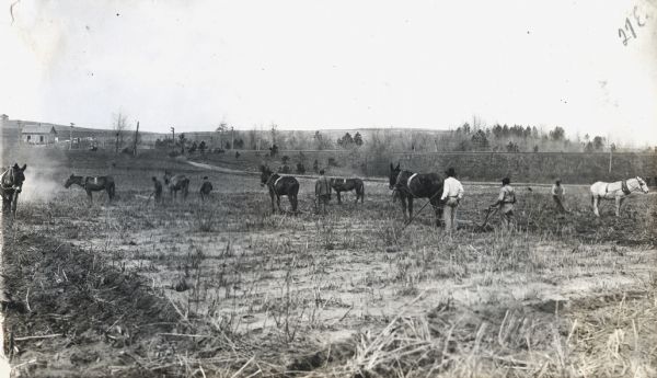 A group of farmers use mules to plow a field near a dirt road. A farm building and electrical or telephone poles are in the background.