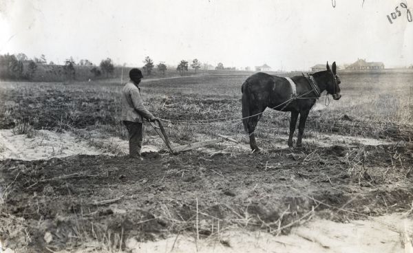 A man is using a mule to pull a walking plow through a farm field. Farm buildings are in the distance.