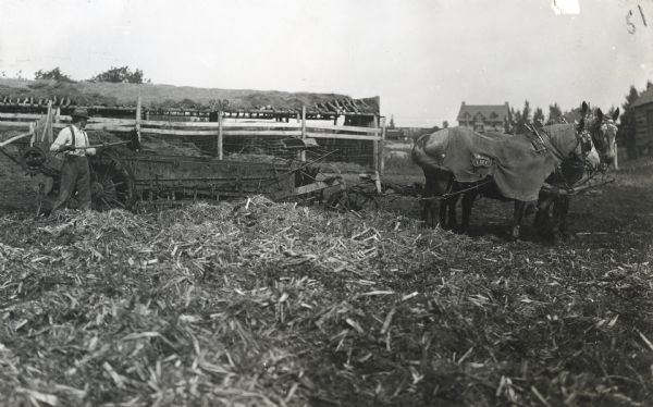 A man is using a shovel to load manure into a wagon pulled by two horses. One of the horses is wearing a turnout blanket marked "IHC."