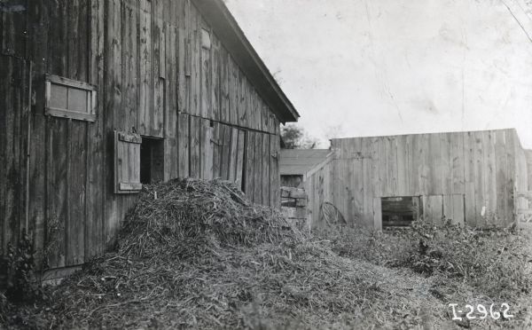 Manure is piled against the side of a barn in a yard surrounded by farm buildings. A wooden wagon wheel is near a building in the background.