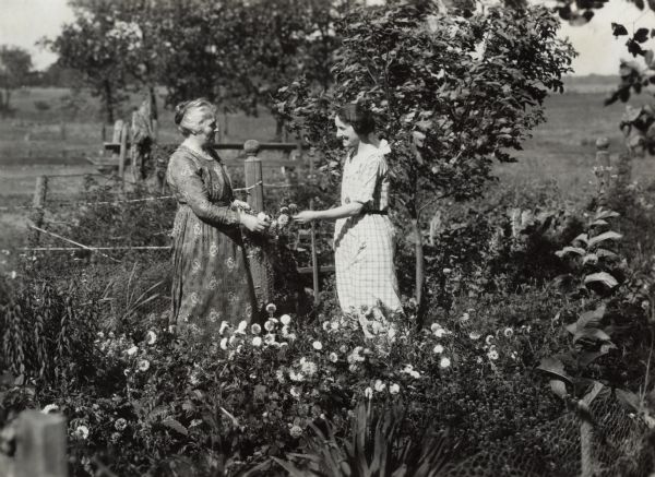 Two women standing in a garden picking flowers.