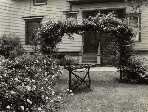 Landscaping near side door of residence with roses, ivy arch trellis, and bird bath.
