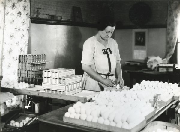 A woman wearing a dress is standing behind a table at the Holden Farm while packing eggs into cardboard holders. The holders are piled on a candling table to her right.