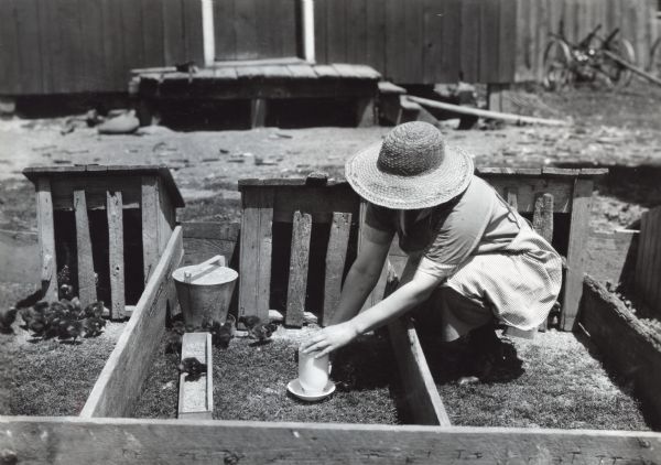 A woman wearing a dress, apron, and straw hat kneels to fill the water container in a poultry structure used to house chicks at De Kline Farm.