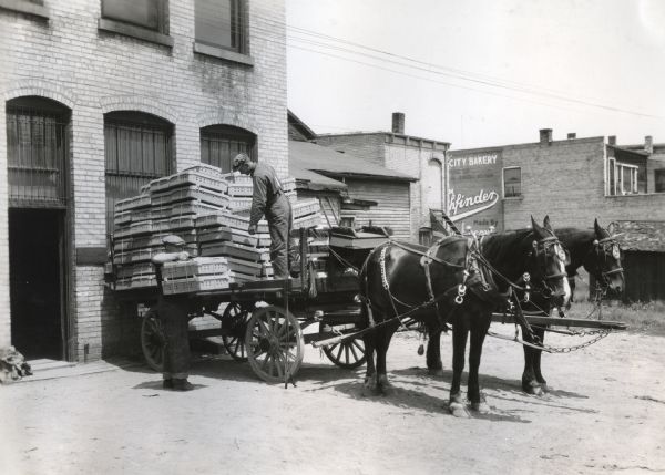 Two men unload containers of chicks from the back of a horse-drawn wagon as part of a parcel post delivery. The sign on a brick building in the background reads: "City Bakery."