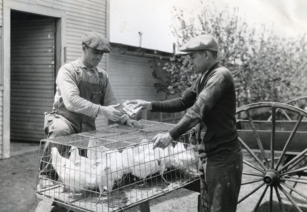 A man at the Holden farm handing two dollar bills to another man while purchasing a cage full of pullets. A farm building and wagon are behind the two men.