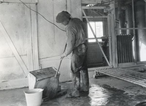 A man wearing rubber boots using a broom and lye solution to scrub the floor of a poultry house at Holden Farm.