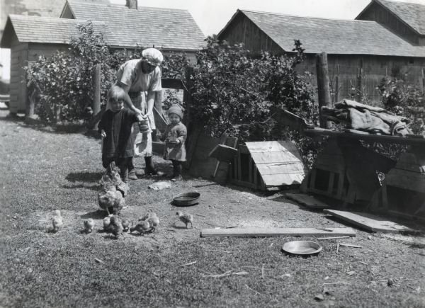 A woman is standing with two children in a poultry yard, feeding chicks and a hen from a coffee can. Several farm buildings are in the background.