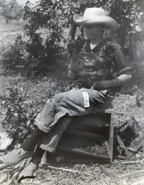 A boy wearing a straw hat, cuffed overalls, and sneakers sits on a wooden crate while holding a prize-winning rooster. A ribbon rests on the boy's leg reading: "Harvey Community Fair Under Auspices of Harvey Grammar Schools. First Premium."
