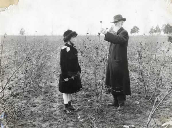 J.H. Gilchrist, wearing a wide-brimmed hat, eyeglasses, and long coat, is standing in a cotton field on his farm to show his granddaughter, Lelia Sykes, the height of cotton stalks. Sykes is wearing a hat tied beneath her chin, a coat with a ribbon sash, stockings, and buttoned boots.