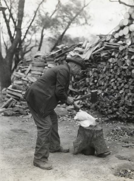 A man is using an axe to butcher a chicken on a tree stump. A large pile of firewood is in the background.