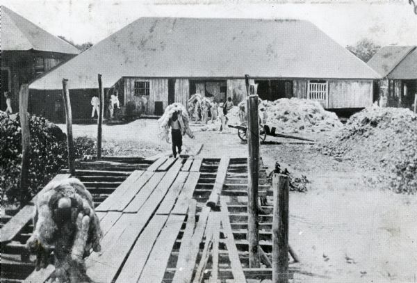 Men carry fiber on their shoulders onto a wooden wharf. The fiber, probably from manila plants, is also piled near a building in the background.