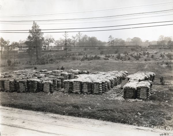 Elevated view of baled sisal stacked in a field alongside a dirt road.  Several structures and a railroad cars are on a hill in the background.