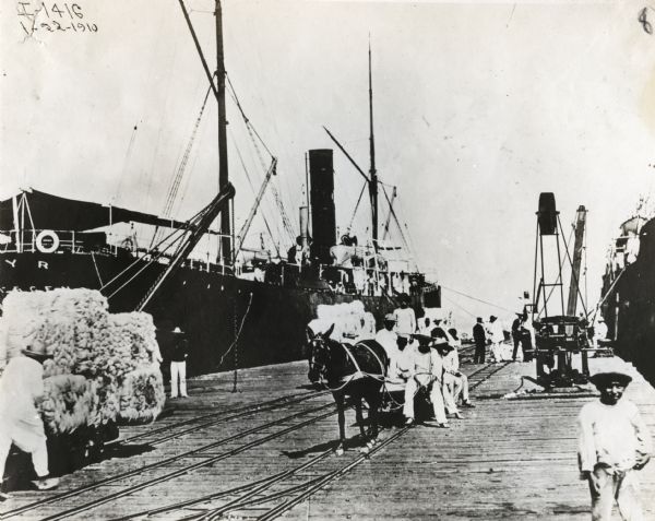 Men use donkeys to pull carts loaded with sisal fiber along railroad tracks on a wharf at Progreso, Yucatan. The fiber is being loaded onto or off of steamboats docked at the wharf.