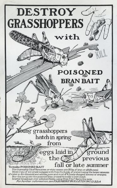 Bulletin urging farmers to kill grasshoppers with poisoned bran bait, featuring an illustration of a hand spreading bait for grasshoppers to eat.