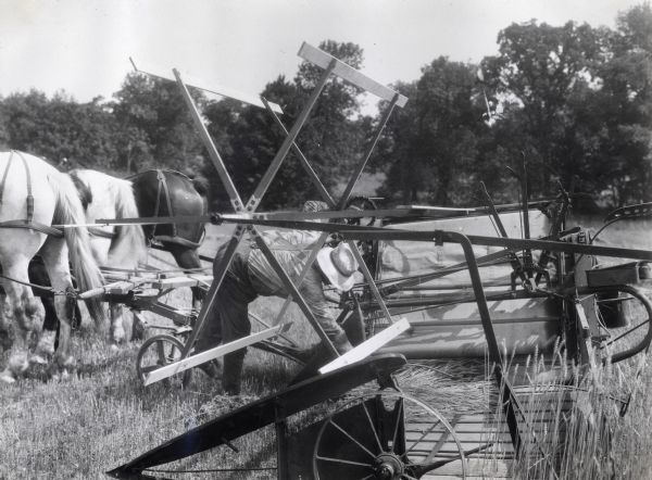 A man is reaching in between reels on a grain binder hitched to several horses on the farm of Peter Ricker.