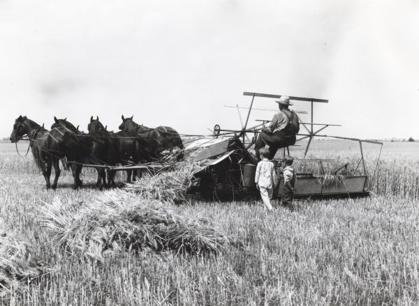 Two children are walking closely behind a man operating a grain binder pulled by a team of four horses through a field, illustrating the dangers of standing too close to machinery.