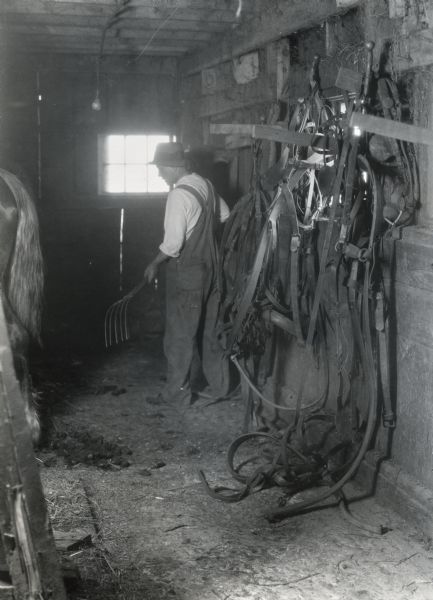 A man using a rake inside a stable, standing near harnesses hanging from wooden pegs on the wall. The tail of a horse can be seen on the left.