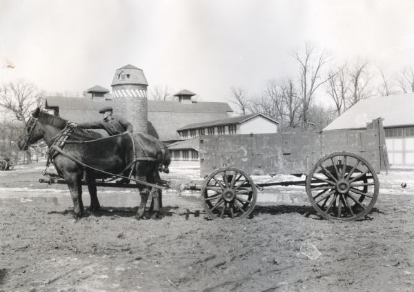 A man stands on the tongue of a wagon to fix the reins on a horse at Cutten Farms. A barn and other farm buildings are in the background.