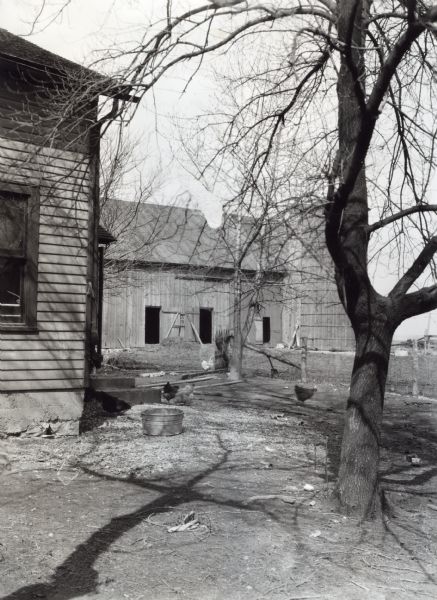 Chickens stand in a barnyard surrounding a farmhouse. The photograph was taken for International Harvester's Agricultural Extension Department to illustrate the hazards of keeping a manure pile too close to the house.