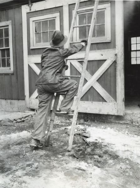 A man climbing a wooden ladder placed on snow-covered ground. The ladder is leaning against a barn at International Harvester's Hinsdale experimental farm.