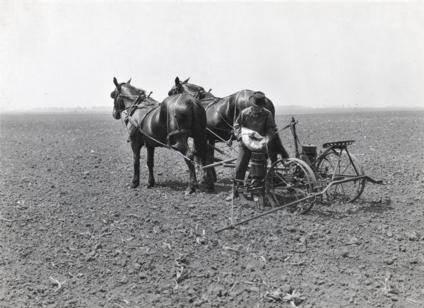 A man is emptying soybeans from a bag into a planter outfitted with a bean attachment pulled by two horses through a field.