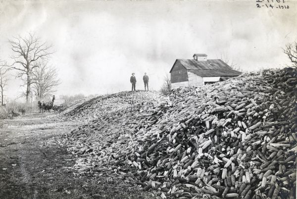 Two men standing atop large piles of corn. A barn or farm building can be seen just beyond the large pile. In the background a man is driving a team of two horses pulling a wagon.