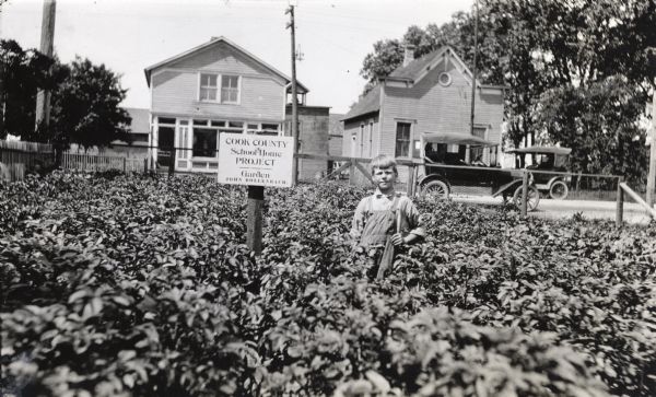 Young John Bollenbach standing in the middle of a garden, identified as his "Cook County school-home project."