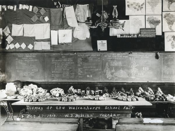 View of an agricultural display at the Walkenhorst School Fair, consisting of vegetables, fruits, and  canned goods lined up on a table. Various graphs, illustrations, and lists are written on a blackboard.