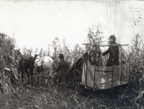 Two men using a team of two horses to pull a corn shocker through a farm field. Both men are wearing hats, and one of the men is wearing a long overcoat and is smoking a pipe.
