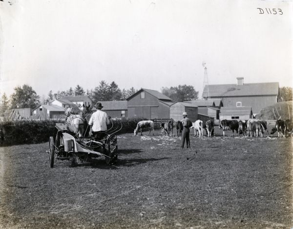 A man using a team of horses to pull a Deering(?) corn binder across a barnyard. Another man, cows, a windmill, and farm buildings are in the background.