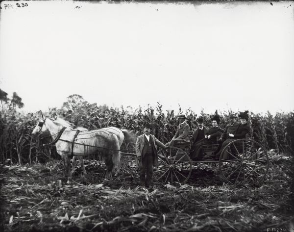 A group of men and women are sitting in a horse-drawn wagon in a field of corn, while another man is standing near the wagon's front wheel.