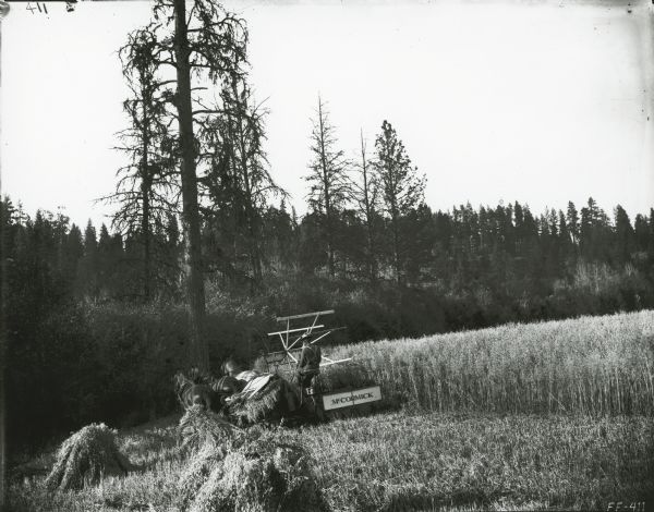A man is using a McCormick grain binder pulled by three horses to harvest a crop of wheat in a field surrounded by trees.