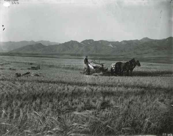 A man is using a McCormick grain binder led by a team of horses to work in a field near a range of mountains.