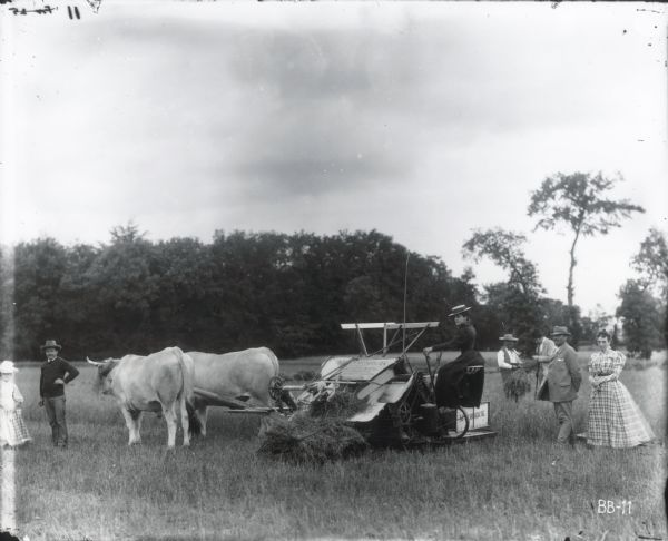 A woman wearing a dress and hat is operating a McCormick grain binder pulled by two oxen through a field. Well-dressed men, women and a young child look on.