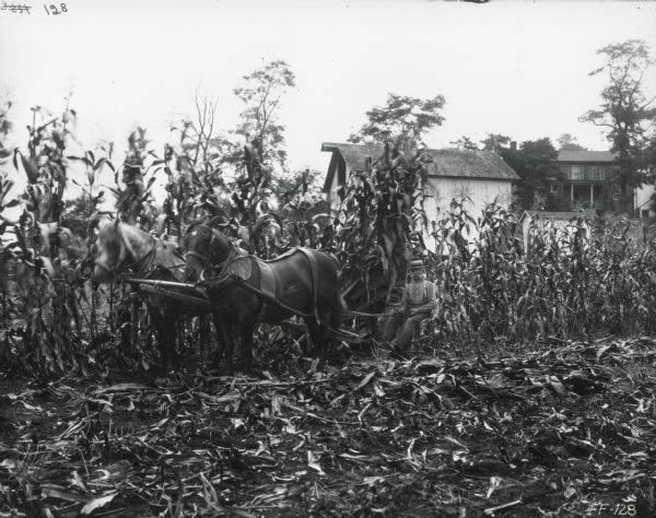 Side view of a man driving two horses to pull a McCormick corn binder through a field. Several farm buildings are in the background.