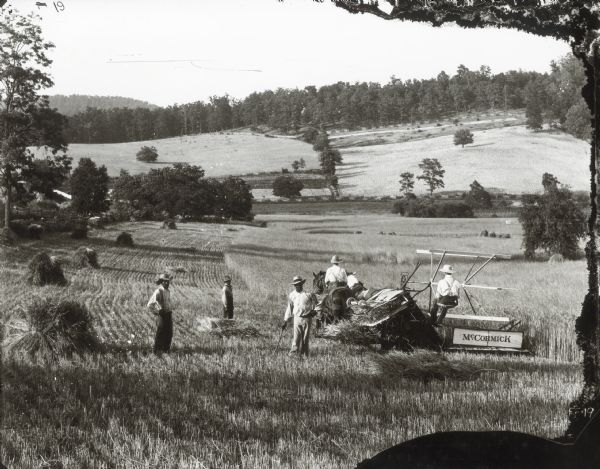 A group of men using a McCormick grain binder in a field.