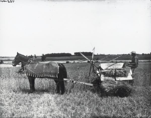 Left side view of a man using a McCormick grain binder pulled by two horses to harvest a crop. The horses are wearing woven mesh fly-nets.