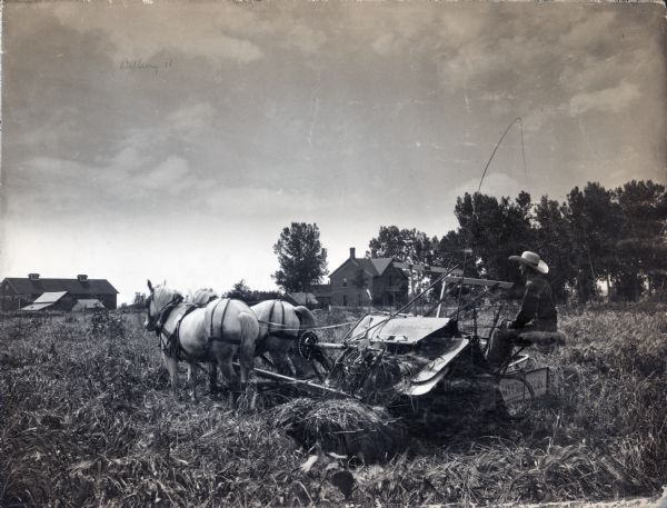 A man using a McCormick grain binder to work in a field of barley on the farm of the Honorable William Dickens.