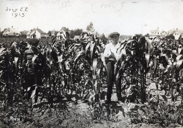 Two students standing in a cornfield. The boy on the right is holding what appears to be a hoe while completing work as part of a high school agriculture class.