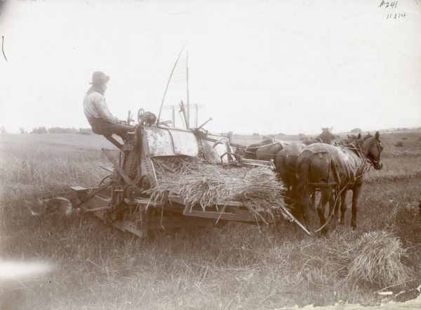 Side view of a man using a McCormick wire binder pulled by three horses to work in a field.