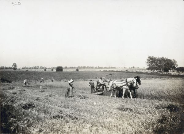 A man is using a team of two horses to pull a McCormick reaper in a field, while other women and men are raking the cut grain.