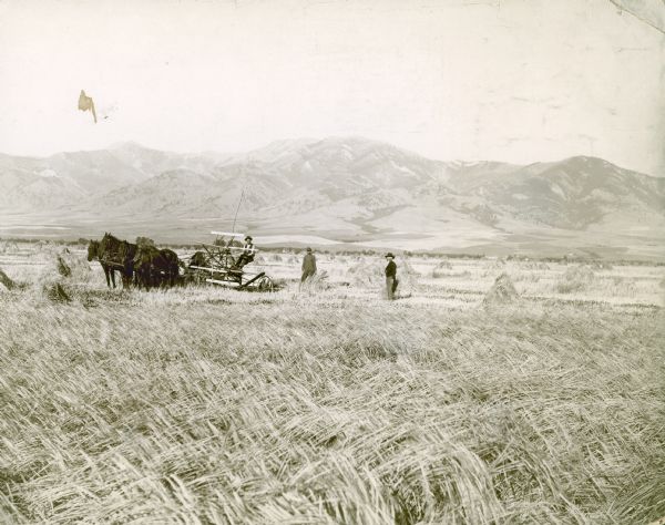 Two men stand near a man driving a team of four horses to pull a McCormick harvester through a farm field. Mountains are in the background.
