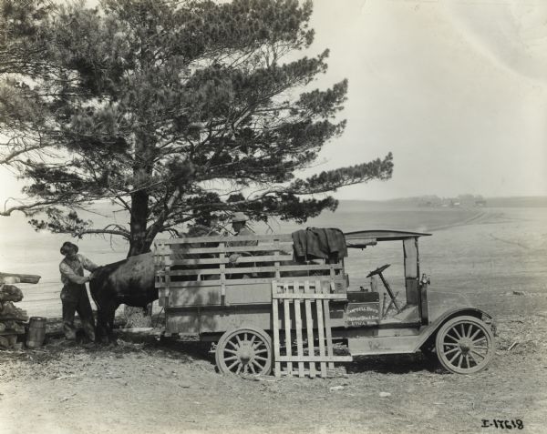 Two men load cattle onto an International Model F (or 31) truck operated by the Campbell Brother's Highland Stock Farm.