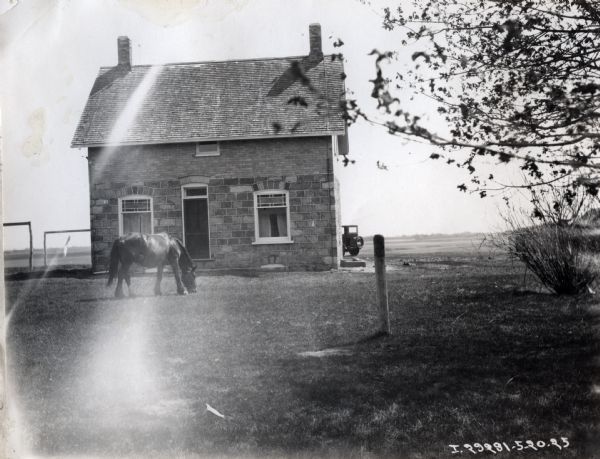 A horse is grazing in the front yard of the Oak Lake, Manitoba, Canada demonstration farmhouse. An automobile is parked behind the farmhouse.