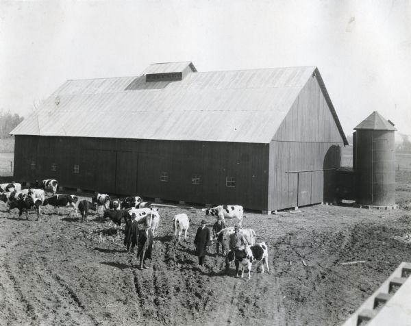 Elevated view of five men wearing overcoats and hats standing in a barnyard with a herd of Holstein cows at an International Harvester demonstration farm.