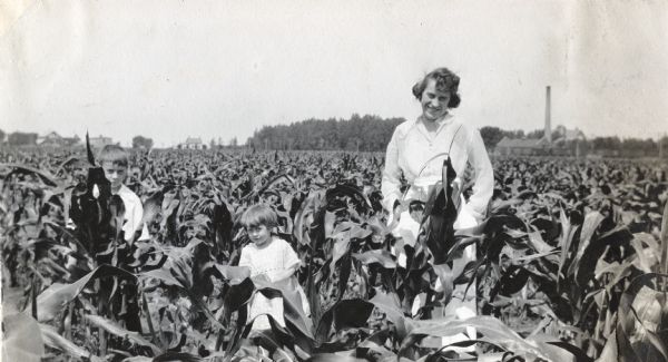 A woman and two children stand in a cornfield at an International Harvester Company demonstration farm. Farm buildings appear in the background.